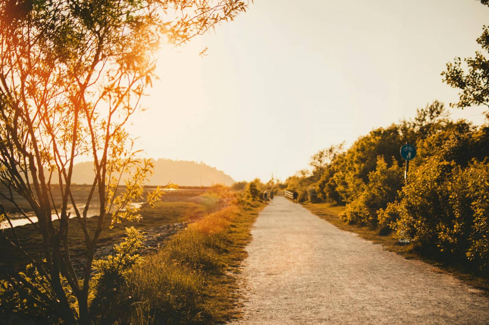 Chemin de campagne
